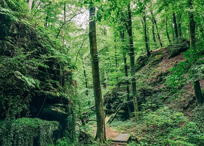 Safari Tent Xs - Camp La Belle Vie Campingplatz *