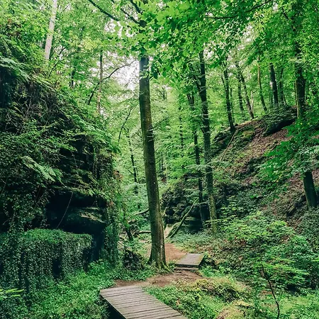 Safari Tent Xs - Camp La Belle Vie Campingplatz *